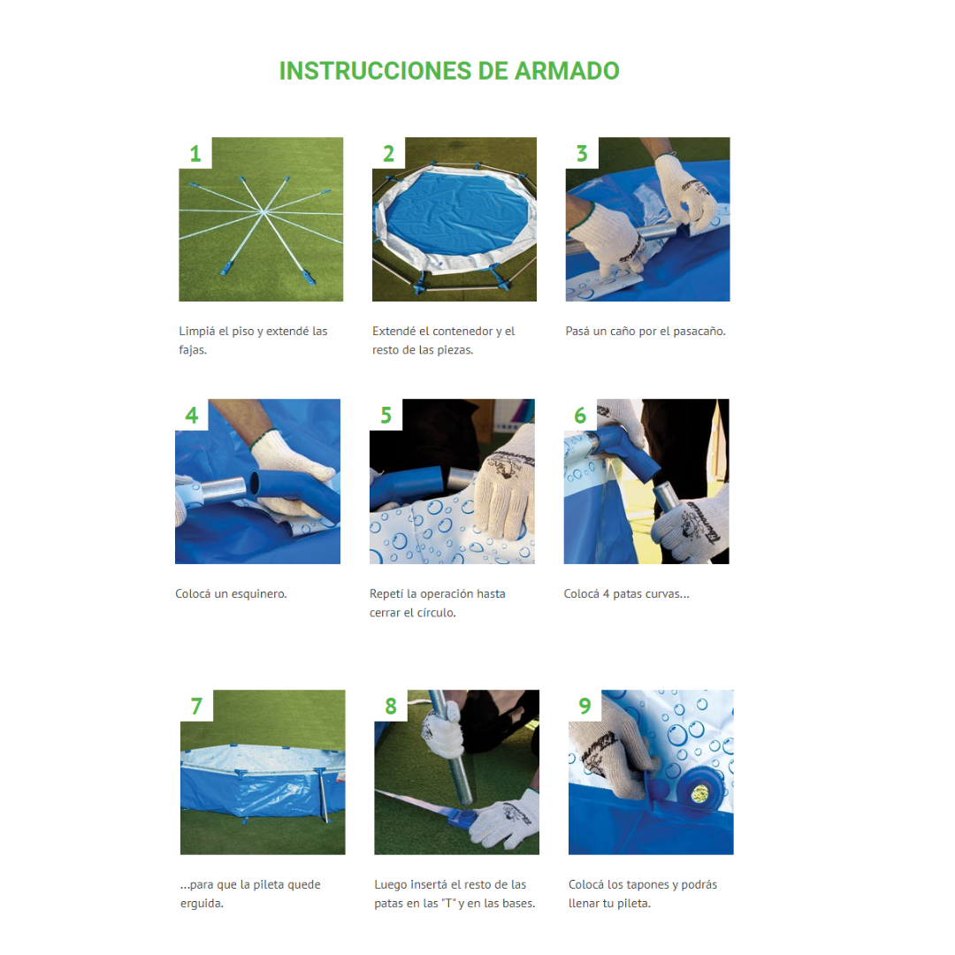 tiburoncito-2